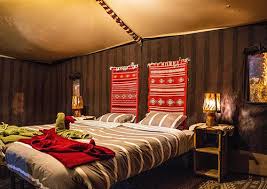 Lilot Palmier Tozeur